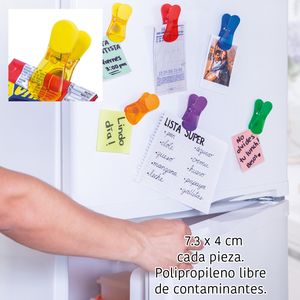 Magnetic Clip
