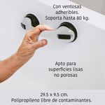 Agarradera-de-seguridad.jpg