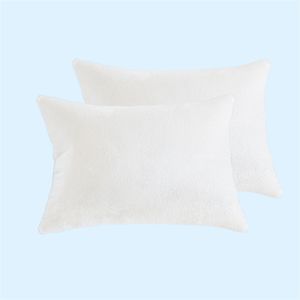 Par De Almohadas Pachicalientita
