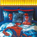 ed-spiderman-super2.jpg