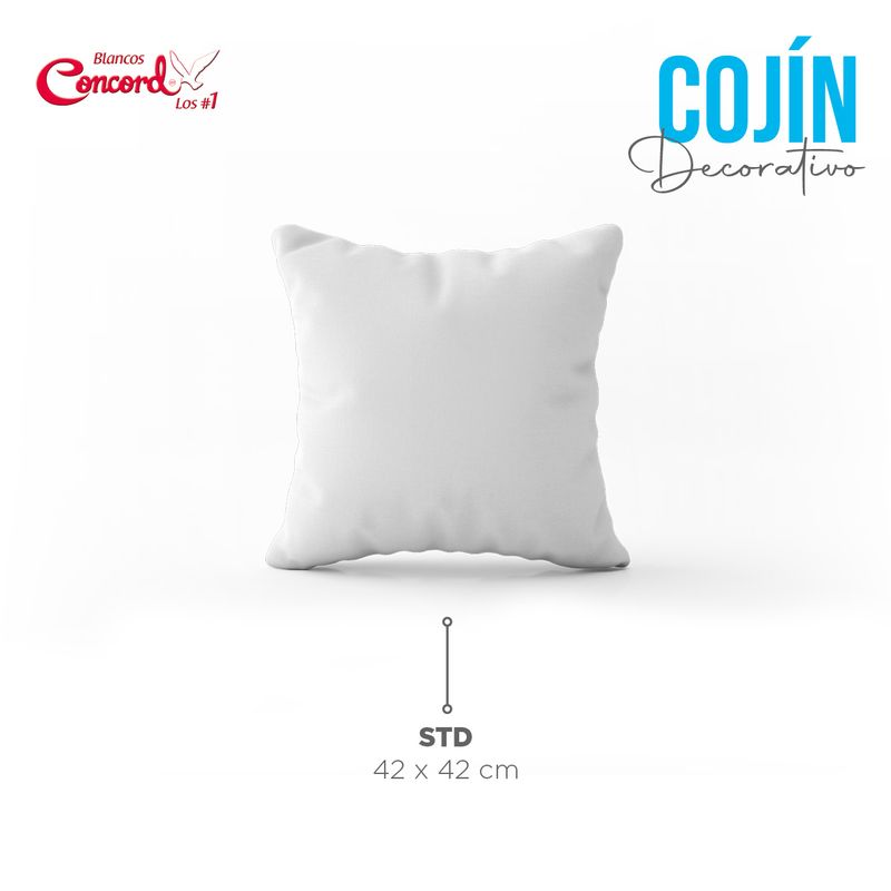 decorativo-.jpg