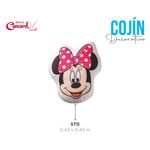 cojin mini.jpg