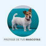 Protector-de-sala-Bali8.jpg