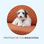 Protector-de-sala-Bali14.jpg