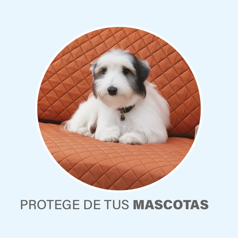 Protector-de-sala-Bali14.jpg
