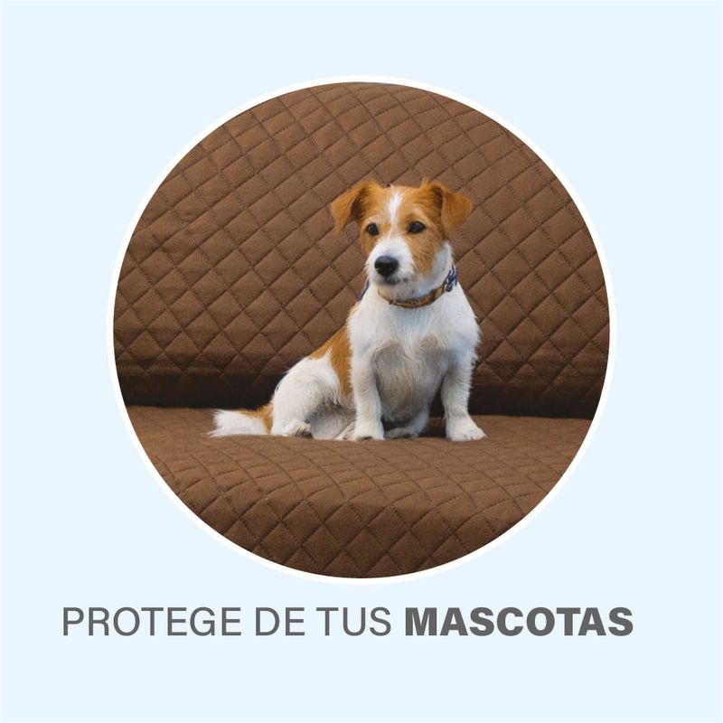 Protector-de-sala-Bali20.jpg