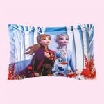 Funda-elsa-y-ana2.jpg