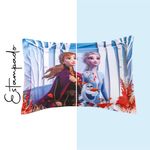 Funda-elsa-y-ana3.jpg