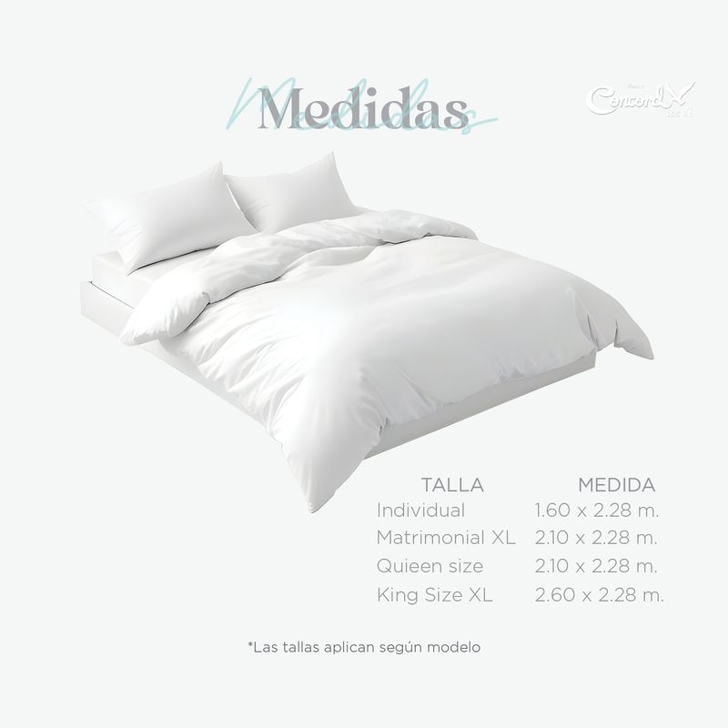 Infografias Edredon11