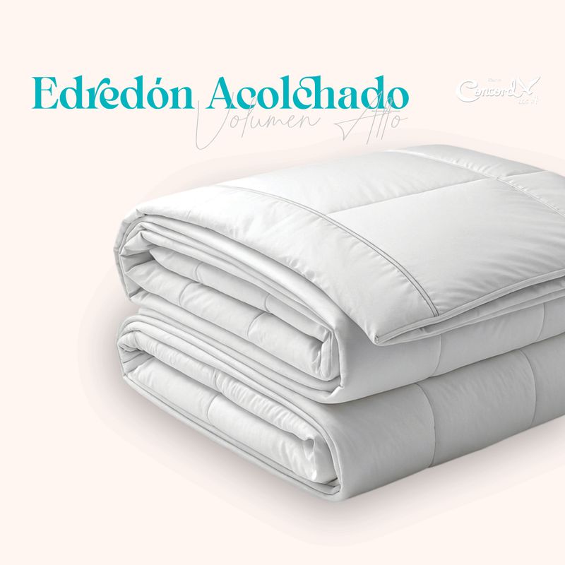 Infografias Edredon