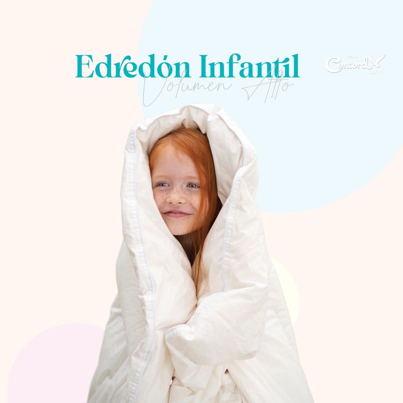 Infografias-Edredon15