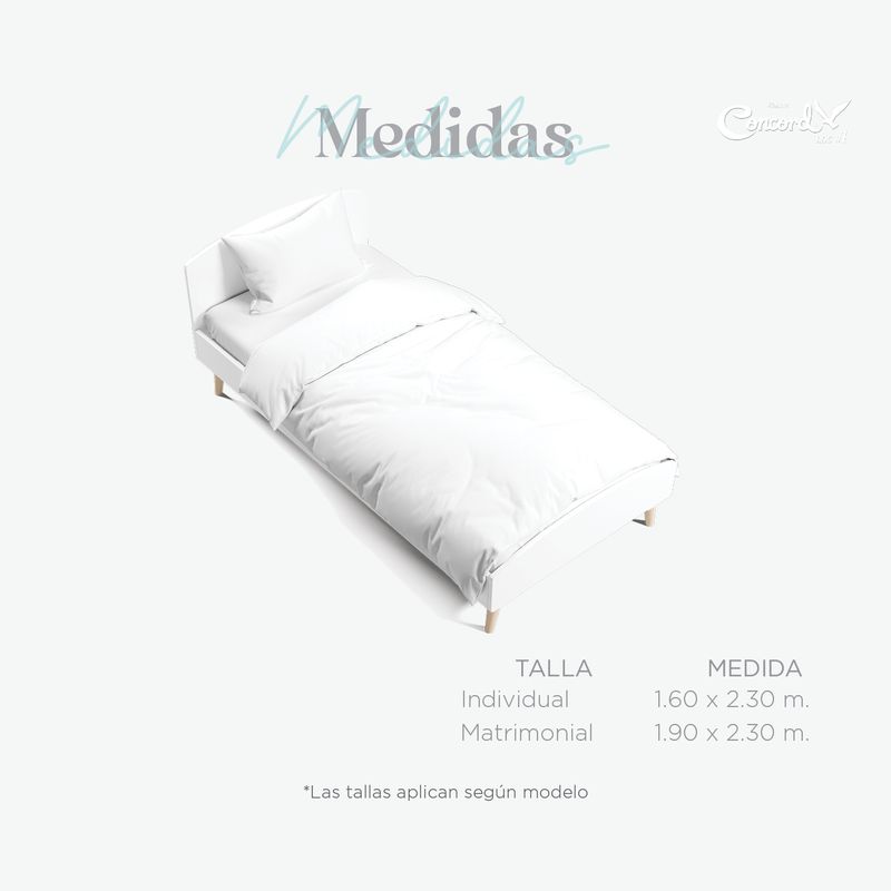 Infografias Edredon21